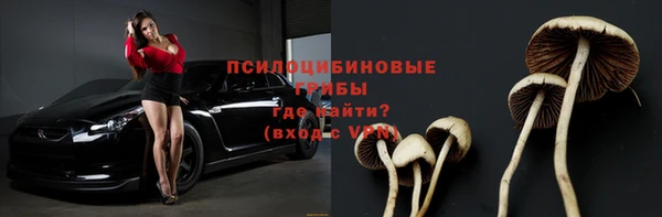 гидропоника Нея