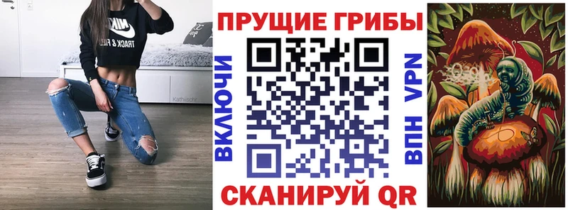 Галлюциногенные грибы GOLDEN TEACHER  Тбилисская 